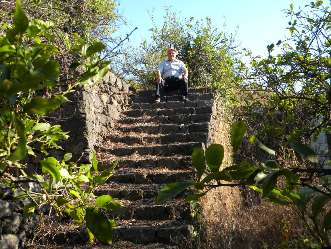 DSCN8081 .JPG